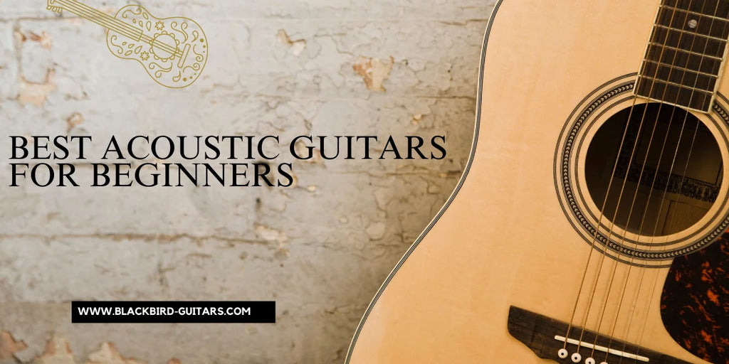 Guitar Guide: Choosing the Best Acoustic Guitars for Beginners